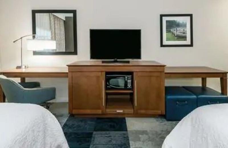 Hampton Inn & Suites San Antonio Brooks City Base, Tx Dış mekan fotoğraf